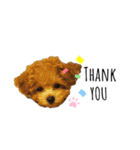 ViViスタンプⅡ（個別スタンプ：6）