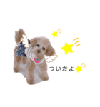 ViViスタンプⅡ（個別スタンプ：7）