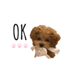 ViViスタンプⅡ（個別スタンプ：9）