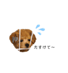 ViViスタンプⅡ（個別スタンプ：13）