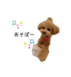 ViViスタンプⅡ（個別スタンプ：15）