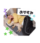 佐々木家LIFE（個別スタンプ：37）