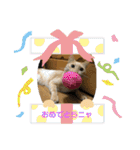 ゆきちとこたま。（個別スタンプ：2）