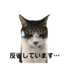 ゆきちとこたま。（個別スタンプ：15）