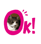 ゆきちとこたま。（個別スタンプ：17）