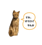 ゆきちとこたま。（個別スタンプ：20）