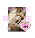 ゆきちとこたま。（個別スタンプ：28）