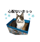 ゆきちとこたま。（個別スタンプ：29）