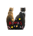 ゆきちとこたま。（個別スタンプ：38）