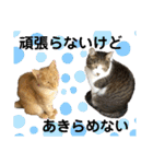 ゆきちとこたま。（個別スタンプ：40）