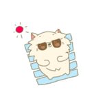 ポメラニアンずの夏用スタンプ（個別スタンプ：12）