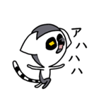 ワオキツネザル(哀戦士)（個別スタンプ：2）