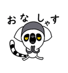 ワオキツネザル(哀戦士)（個別スタンプ：8）