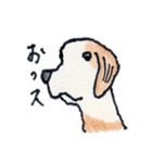 犬好きのあなたへ（個別スタンプ：5）