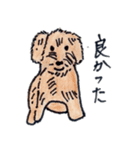 犬好きのあなたへ（個別スタンプ：8）