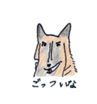 犬好きのあなたへ（個別スタンプ：10）