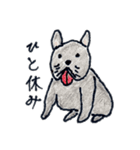 犬好きのあなたへ（個別スタンプ：16）