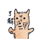 犬好きのあなたへ（個別スタンプ：24）