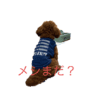 moanastanp（個別スタンプ：1）