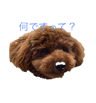 moanastanp（個別スタンプ：3）