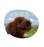 moanastanp（個別スタンプ：4）