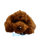 moanastanp（個別スタンプ：7）