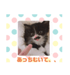 にゃんこパラダイス（個別スタンプ：2）