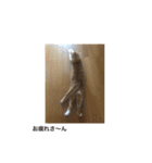 茶猫のスタンプ（個別スタンプ：1）