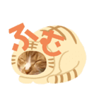 茶猫のスタンプ（個別スタンプ：6）