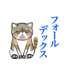猫シュシュシュ、ろく（個別スタンプ：2）