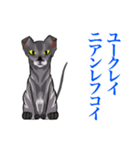 猫シュシュシュ、ろく（個別スタンプ：3）