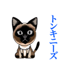猫シュシュシュ、ろく（個別スタンプ：4）