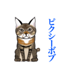 猫シュシュシュ、ろく（個別スタンプ：7）