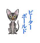 猫シュシュシュ、ろく（個別スタンプ：8）