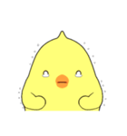 チクリン！（個別スタンプ：13）