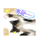 BELLちゃんのスタンプ（個別スタンプ：2）