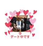 トイプーくるみのスタンプ 日常会話用（個別スタンプ：30）