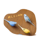可愛いセキセイインコ（個別スタンプ：5）