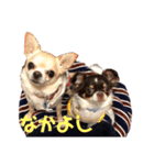かぼすとせろりとぐれ（個別スタンプ：12）