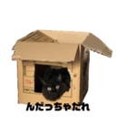 ひのわらえん仙台弁スタンプ（個別スタンプ：8）