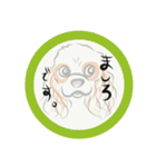 自己紹介スタンプ★03（個別スタンプ：6）