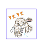 アメコカ★04（個別スタンプ：7）