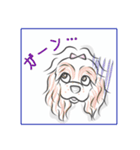 アメコカ★04（個別スタンプ：9）