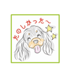アメコカ★04（個別スタンプ：11）