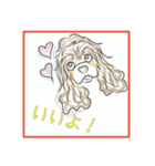 アメコカ★04（個別スタンプ：12）