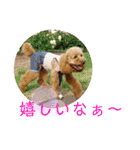 トイプーマモの戯言2（個別スタンプ：4）