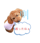 トイプーマモの戯言2（個別スタンプ：17）