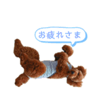 トイプーマモの戯言2（個別スタンプ：20）