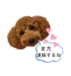 トイプーマモの戯言2（個別スタンプ：24）