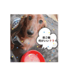 ロン吉の日常（個別スタンプ：8）